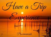 Have Trip Experience