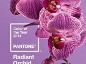 Colores Temporada: Pantone