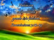 Nunca abandona