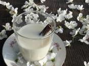 Leche canela