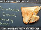 rica sandwichera!! sandwich salmón, huevo queso.