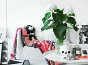 Frescura Lotta Agaton. espacio color frescura