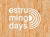 Participando Estruming Days Pontevedra