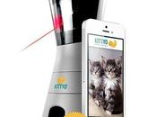 Kittyo, gadget definitivo para cuidar gato