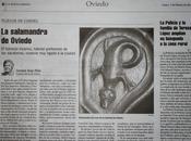 Robando imágenes: nueva muestra ética periodística