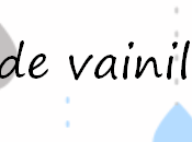 DIY, Tutorial: Cómo hacer extracto vainilla casero