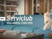 GATO SIAMÉS comercial Serviclub