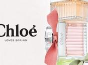 Jardín Rosas Chloé Bopki