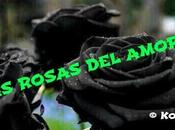 rosas amor