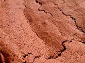 torta super chocolate mousse+mousse tacc