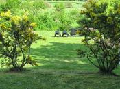 Jardineando....