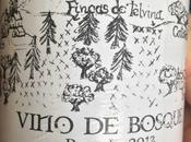 Rosado Vino Bosque 2013: primer Cantabria