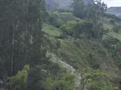 Boyacá, donde vende tierra