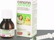 NOVEDAD! Mejora calidad vida perros cáncer