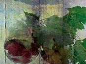 Fira vins Torrelles Llobregat