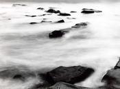 Thomas Joshua Cooper CDAN