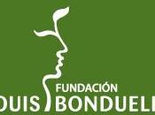 Información útil sobre consumo verduras para familias Fundación Louis Bonduelle