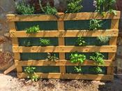 DIY: Jardin Vertical Pallet