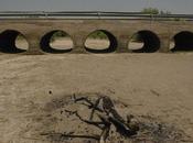 Proyecto bicameral pampa mendoza athuel