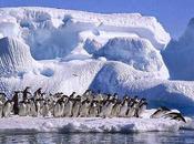 NASA advierte sector Antártida comienza colapso "imparable" 20minutos.es