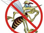 Mosquitos transgénicos contra dengue. hablando transgénicos…