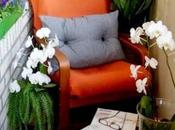 spring touch