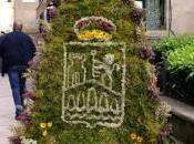 mayos: anuncio flores