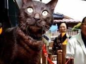www.bbc.comUn gato desapareció tras tsunami Jap...