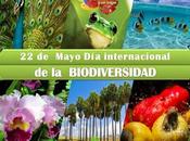 internacional Biodiversidad 2014