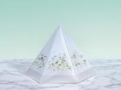 Microgarden