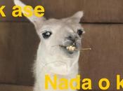 ase: relación entre perfección acción