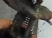 Cómo pintar sangre babas