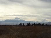 Cómo preparar excursión ambiental éxito