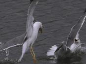 Photo Month (PoM) Mayo 2014