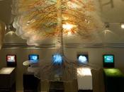 Cuenca Museo Natura