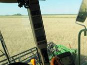 Agricultura argentina: sustentable