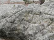 Pedra Creus. Serralada Litoral