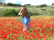 Poppies