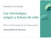 Muestra ‘Las microalgas, origen futuro vida’ Ventana Ciencia (Parque Ciencias, Andalucía)