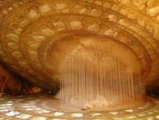 Bajo Microscopio