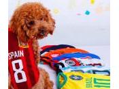 ¡Viste perro para Mundial Brasil!