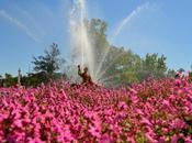 Aranjuez