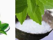 Stevia endulzante natural