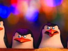 Primer trailer v.o. “los pingüinos madagascar”