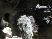 Shuhei Yoshisa insiste, Last Guardian sido cancelado