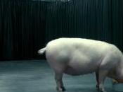Black Mirror