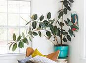 Persianas Kaaten. forma vestir interior