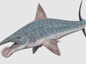 Helicoprion