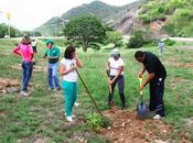 Ministerio Ambiente crea bosque forestal diverso Nueva Esparta