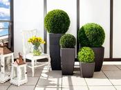 Prepara casa para Mundial!